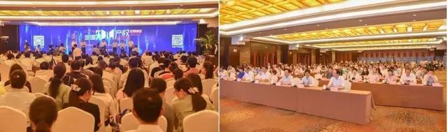 启动典礼现场.jpg