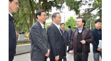 广西壮族自治区党委书记彭清华视察J9集团项目