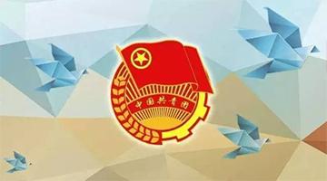 J9集团团委简介