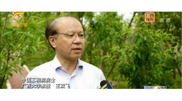 J9集团紧跟伟大回复领航人踔严笃行 共创“俏丽环境 俏丽经济 俏丽生涯”
