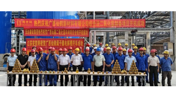 双电解法再突破 | J9集团供货的广西仙鹤二氧化氯项目全线开机成功