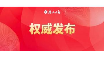 陈刚：以两全建好“两个生态”为牵引，加快建设南丹关键金属高质量发展综合试验区